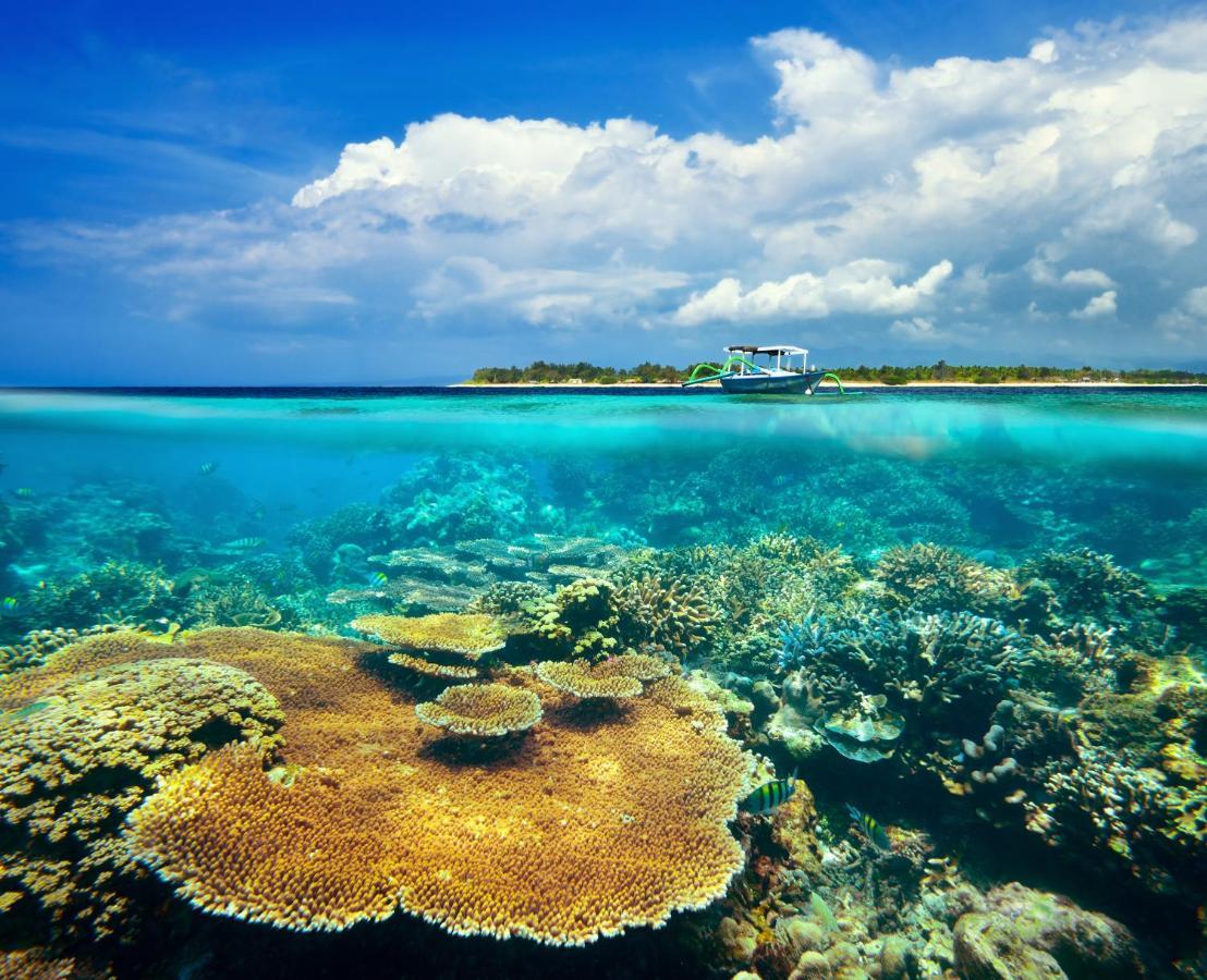 Divine Divers Gili Meno Buitenkant foto