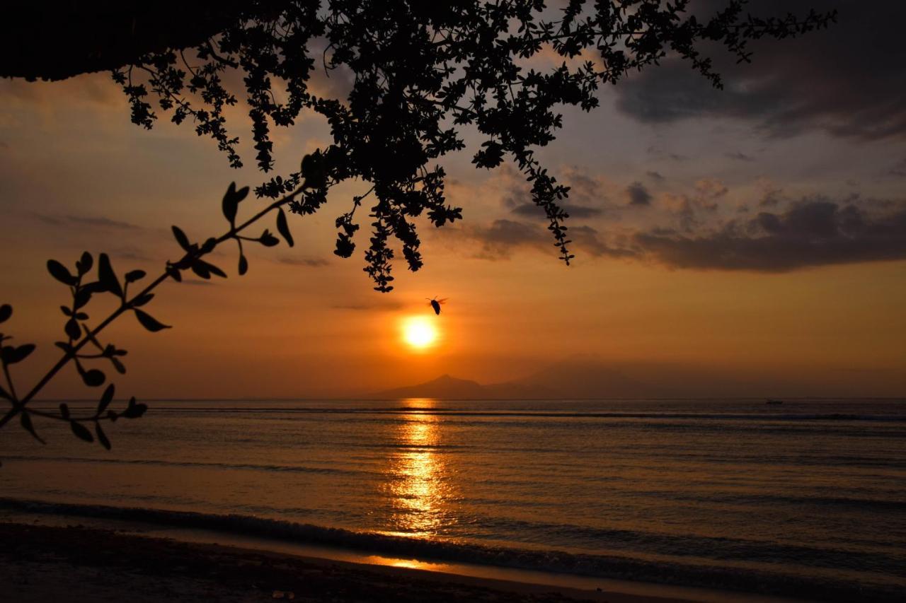 Divine Divers Gili Meno Buitenkant foto